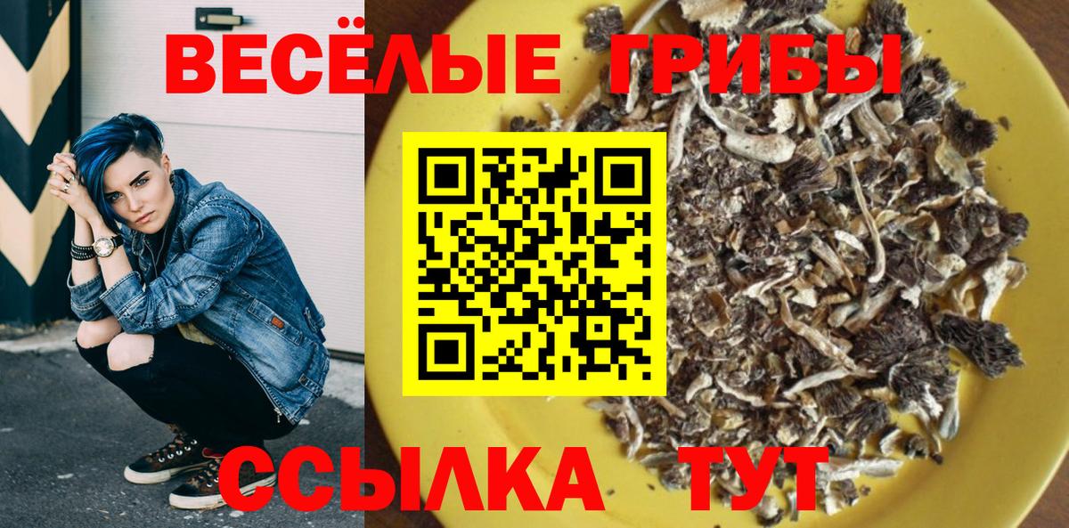 Псилоцибиновые грибы Psilocybe  Вход с VPN  Альметьевск 